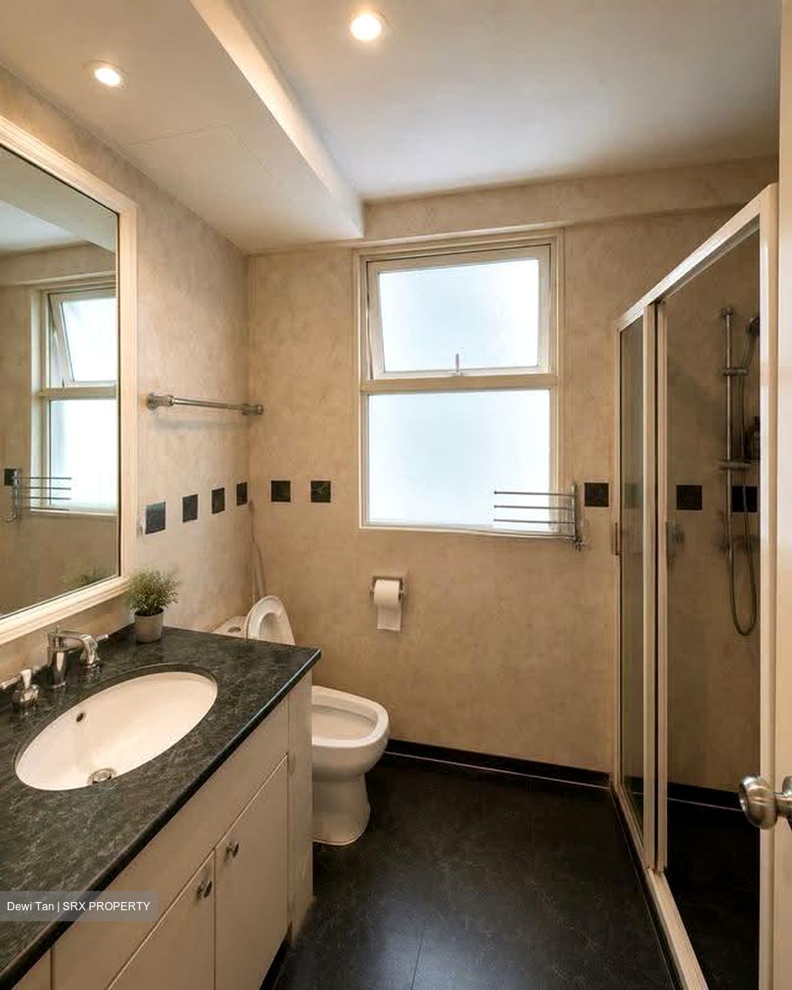 Evergreen Park (D19), Apartment #611116741